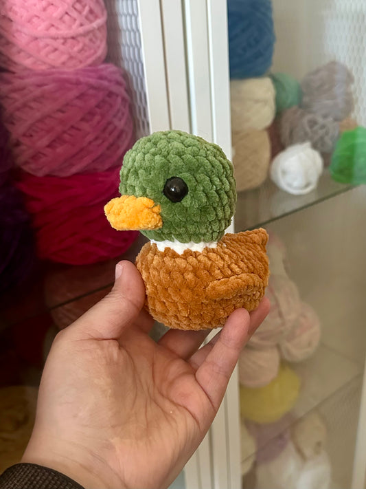 Canard