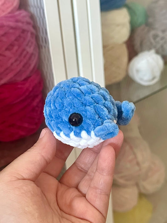 Baleine