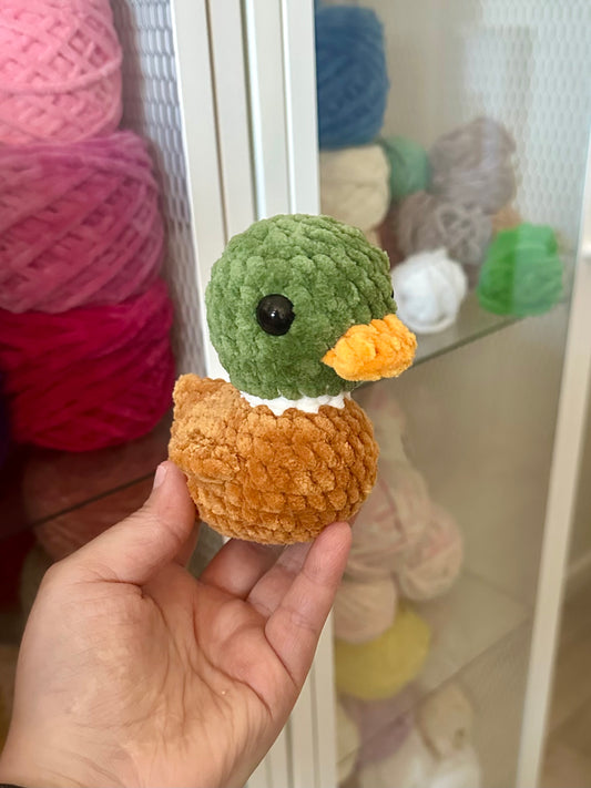 Canard
