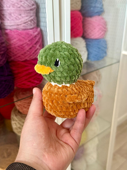 Canard