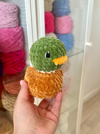 Canard