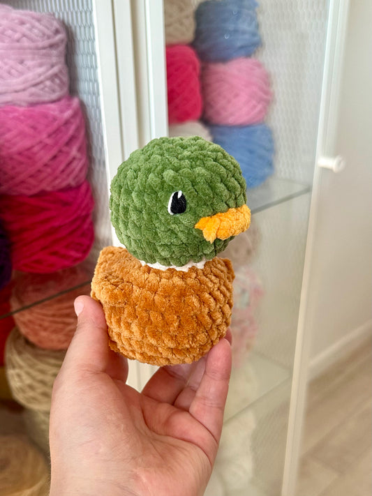 Canard